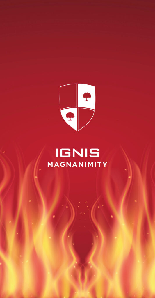 Ignis y Sistema de Casas de APDE El Roble